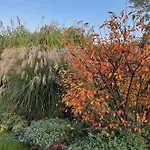 Alwine - An Den Spreewiesen Maison d'hôtes 4*