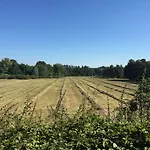 Alwine - An Den Spreewiesen Maison d'hôtes Rietz Neuendorf