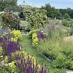 Alwine - An Den Spreewiesen 4*