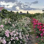 Alwine - An Den Spreewiesen Gasthuis Rietz Neuendorf