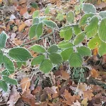 Maison d'hôtes Alwine - An Den Spreewiesen