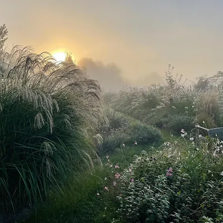 Alwine - An Den Spreewiesen 4* Rietz Neuendorf