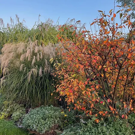 Alwine - An Den Spreewiesen بيت ضيافة 4*