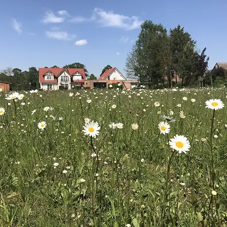 Alwine - An Den Spreewiesen