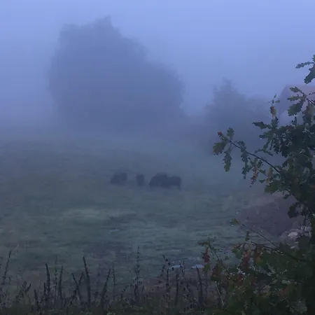Alwine - An Den Spreewiesen Rietz Neuendorf