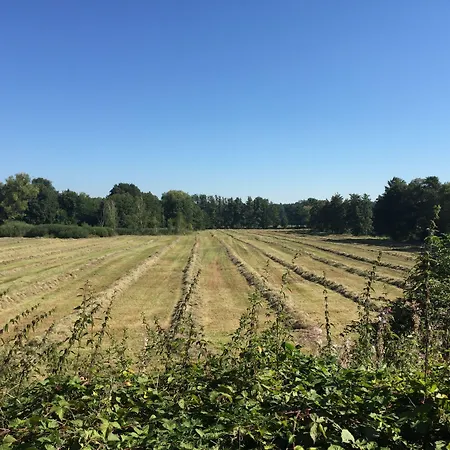 Alwine - An Den Spreewiesen Vendégház Rietz Neuendorf