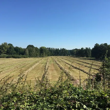 Alwine - An Den Spreewiesen 4* Rietz Neuendorf
