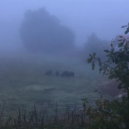 Alwine - An Den Spreewiesen Rietz Neuendorf