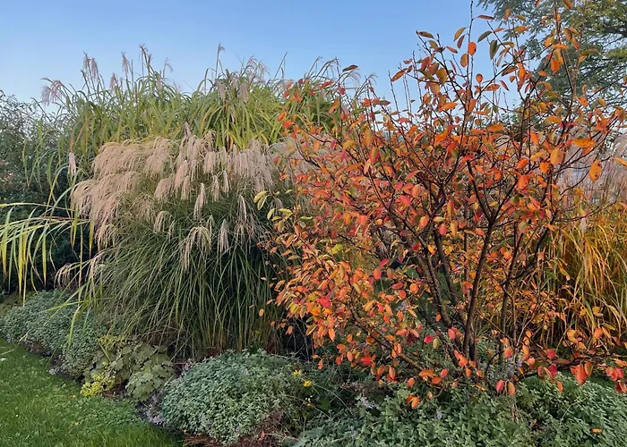 Alwine - An Den Spreewiesen Pensionat 4*