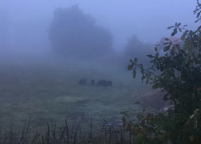Alwine - An Den Spreewiesen Rietz Neuendorf