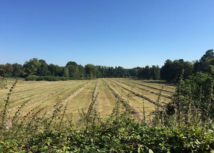 Alwine - An Den Spreewiesen Pensionat Rietz Neuendorf