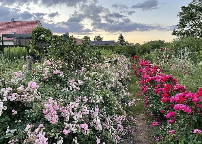 Alwine - An Den Spreewiesen Pensionat Rietz Neuendorf